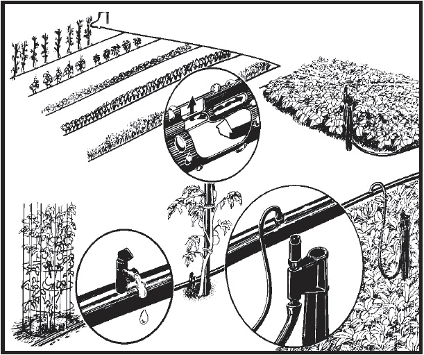 A drip irrigation system